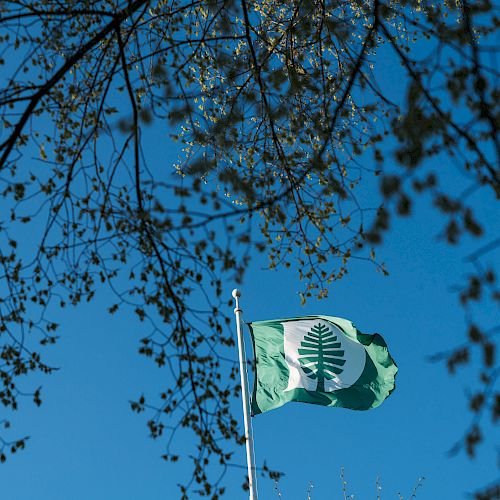 The image shows a green flag with a tree emblem against a clear blue sky, framed by branches with leaves.